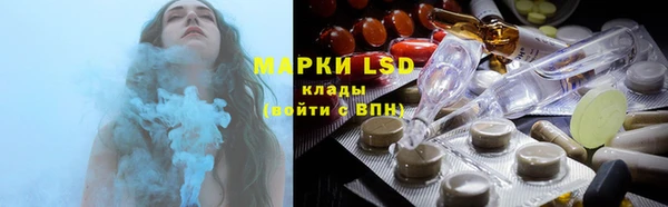 стаф Кодинск