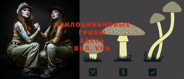 стаф Кодинск
