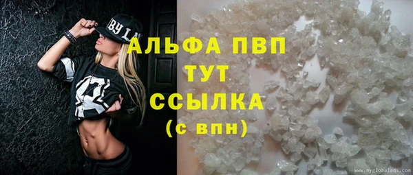 spice Кинешма