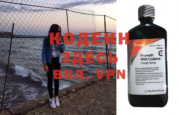 стаф Кодинск