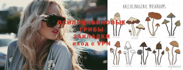 spice Кинешма