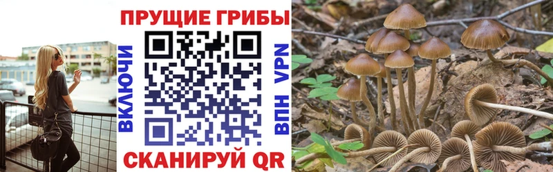 Галлюциногенные грибы MAGIC MUSHROOMS  Катав-Ивановск 