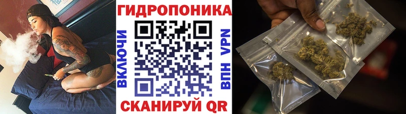 Каннабис Bruce Banner  darknet официальный сайт  Катав-Ивановск 